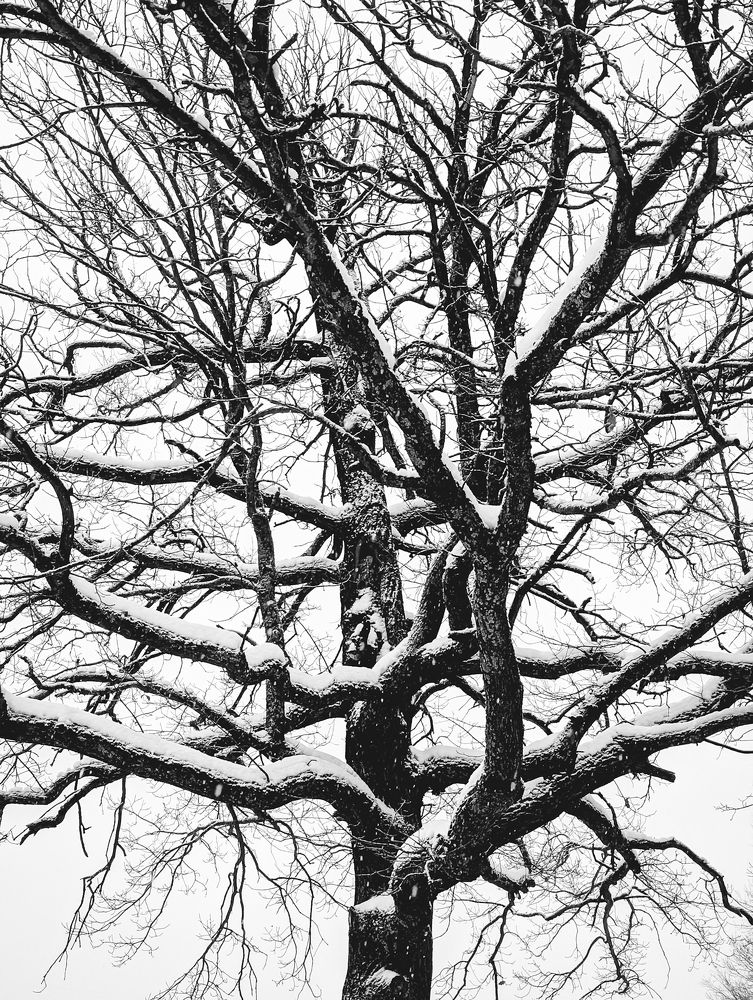 Photograph by Софья Титова