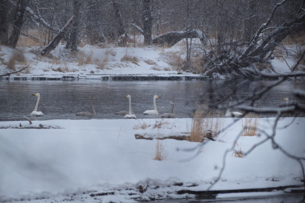 Photograph by Яна Бойко