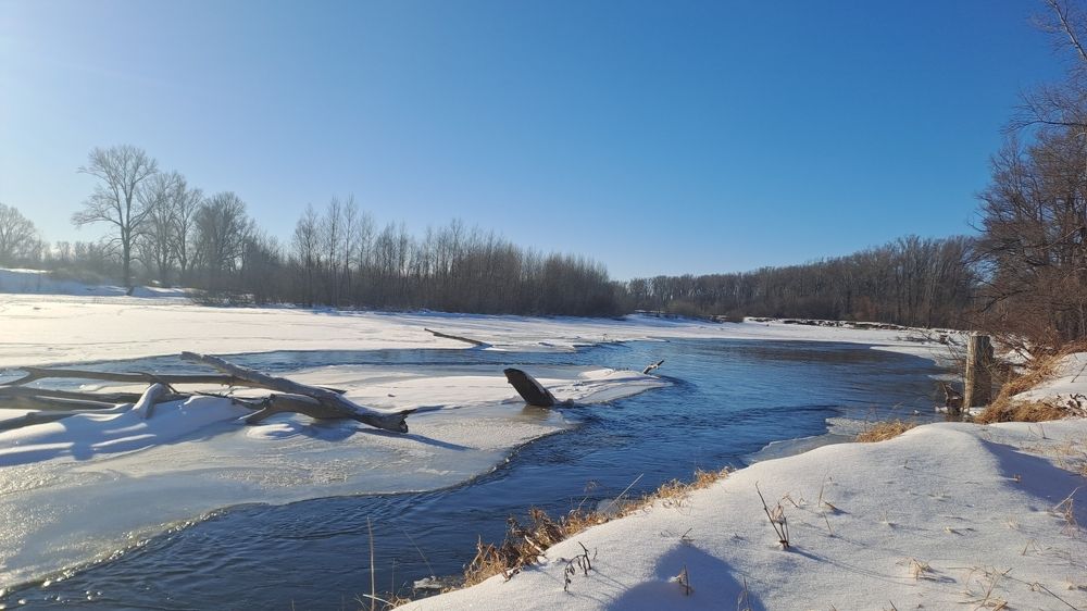Photograph by Александра Насырова