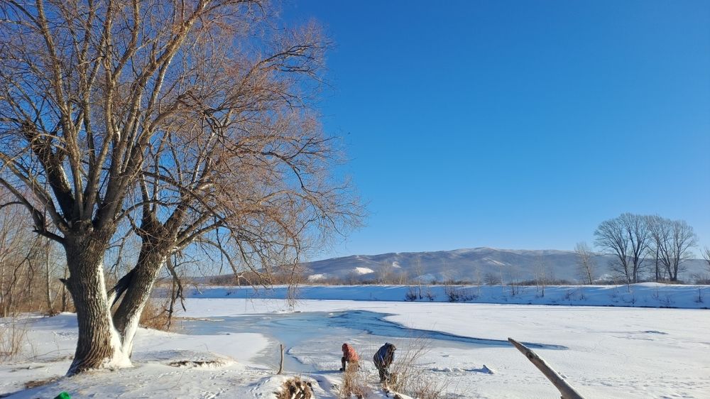 Photograph by Александра Насырова