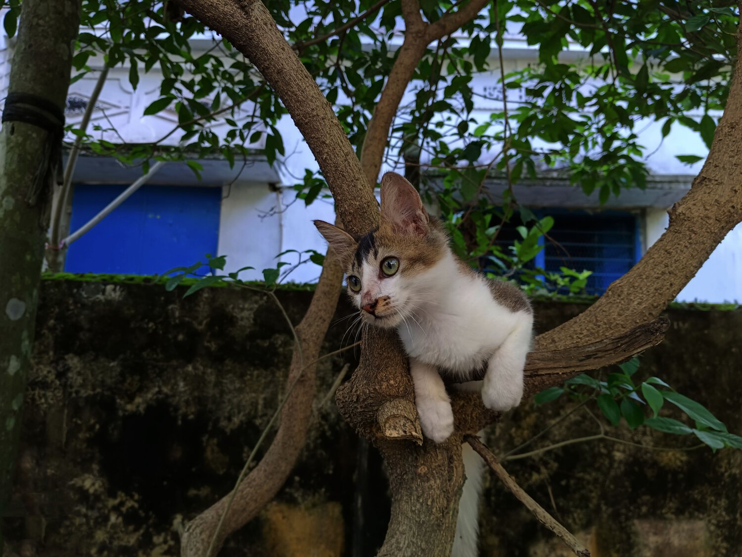 Photo #11683530