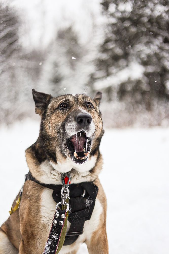 Photograph by Анна