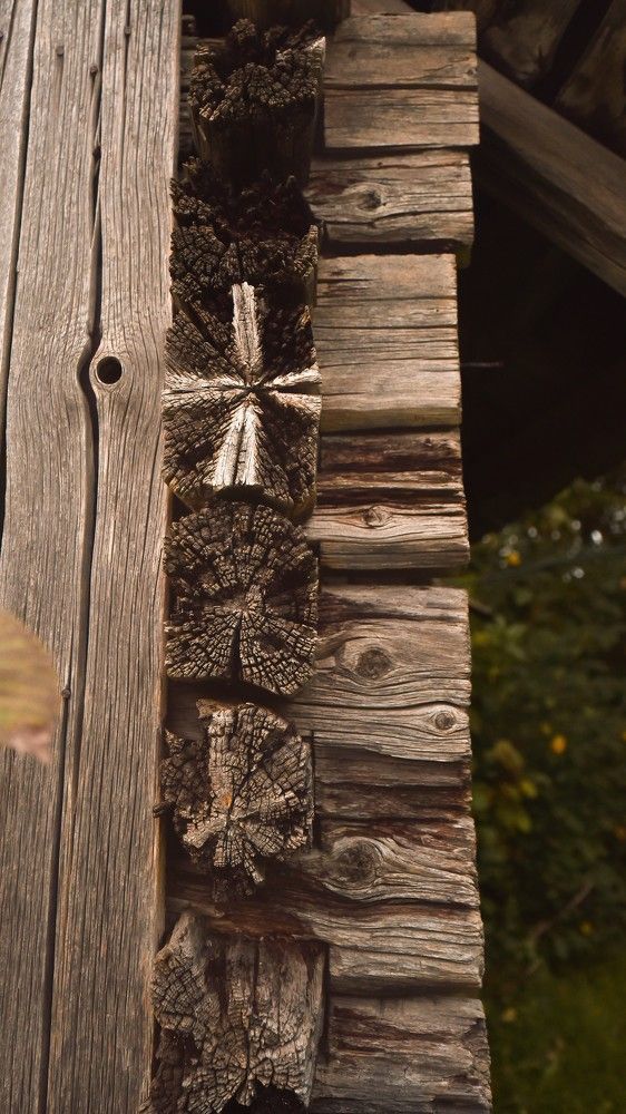 Photograph by Ljudmilla Pavljutsenkova