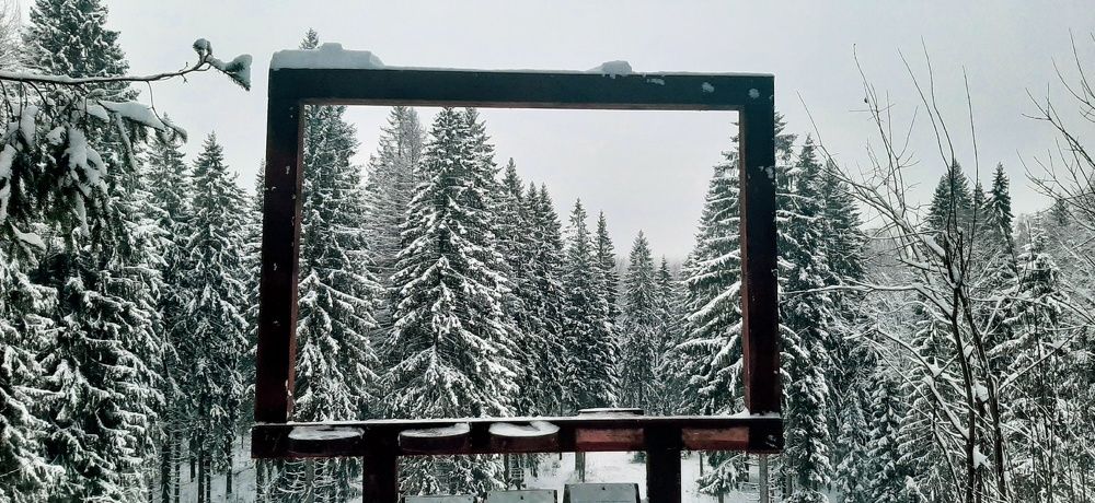 Фотография автора Valerya Vasileva