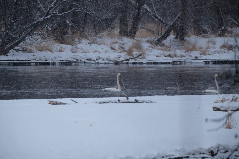 Photograph by Яна Бойко
