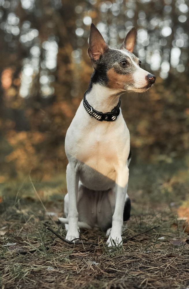 Photograph by Анна