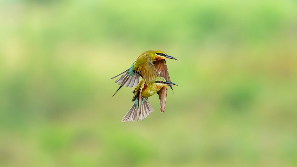 Фотография автора Chandramouli Chandramouli