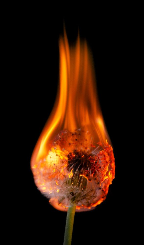 Photograph by Alexey S