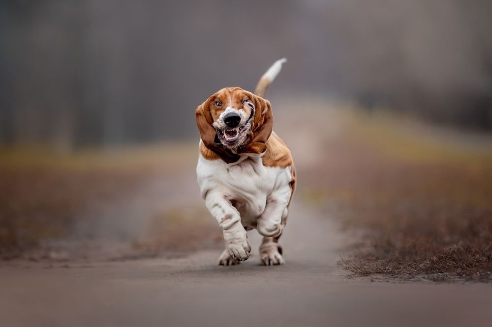 Photograph by Мария Мадзик