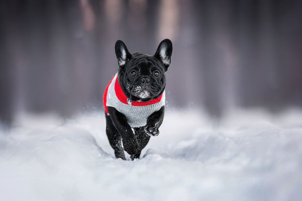 Photograph by Мария Мадзик