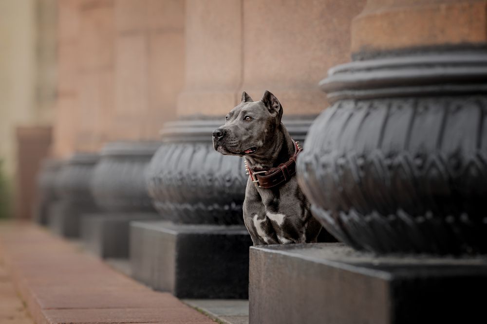 Photograph by Мария Мадзик