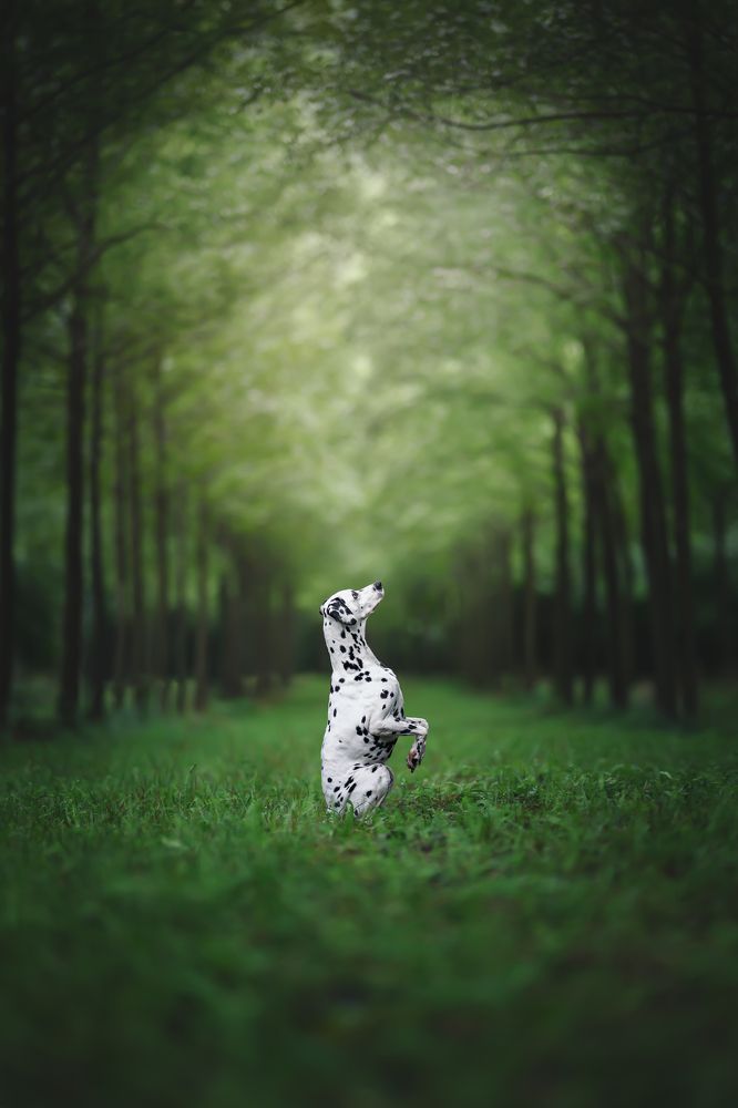 Фотография автора Rut Casanellas