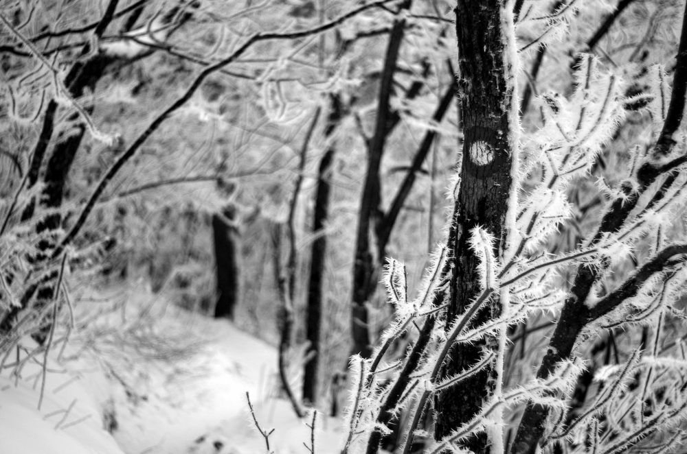 Photograph by Damir Gržin