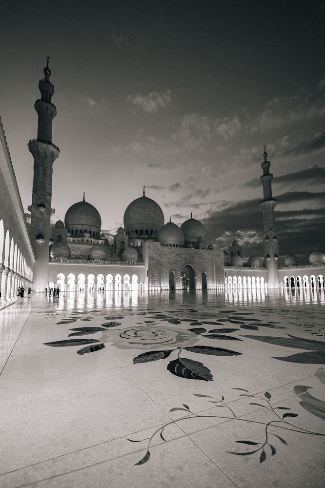 Фотография автора Nima Amanat