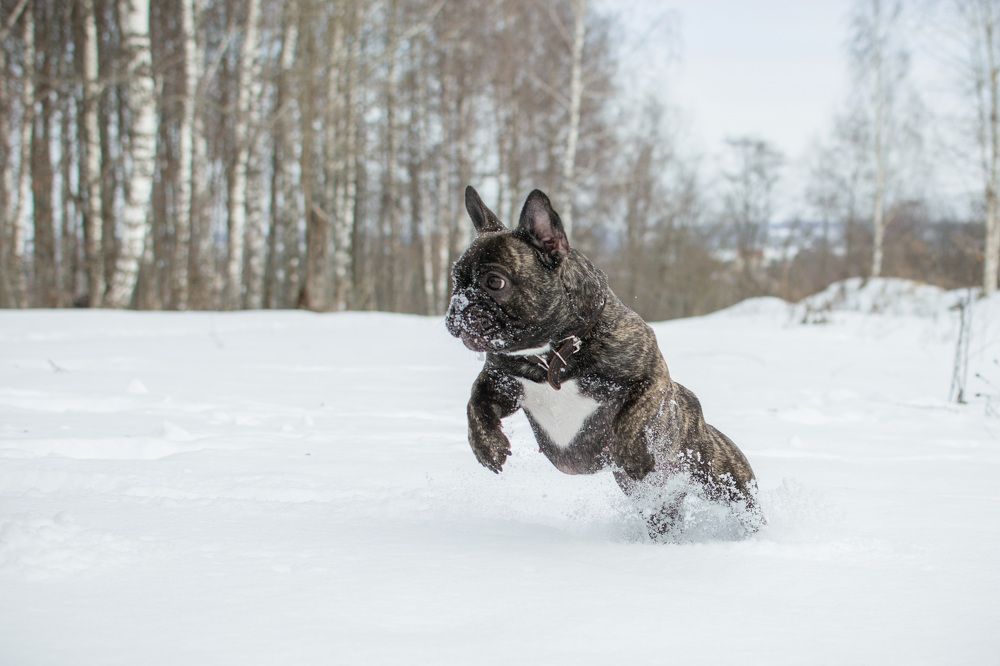 Photograph by Ирина Шарова