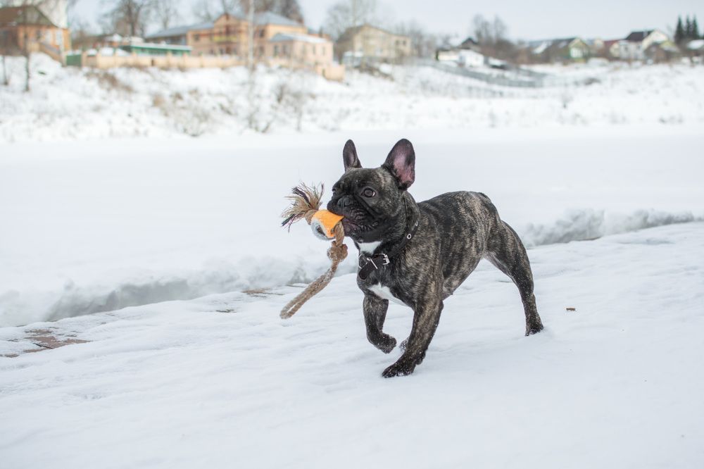 Photograph by Ирина Шарова