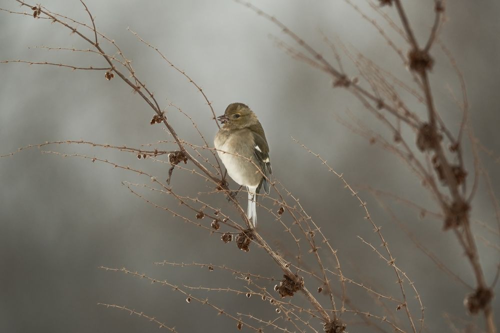 Photograph by Dimitris Vavliaras