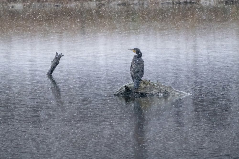 Photograph by Dimitris Vavliaras