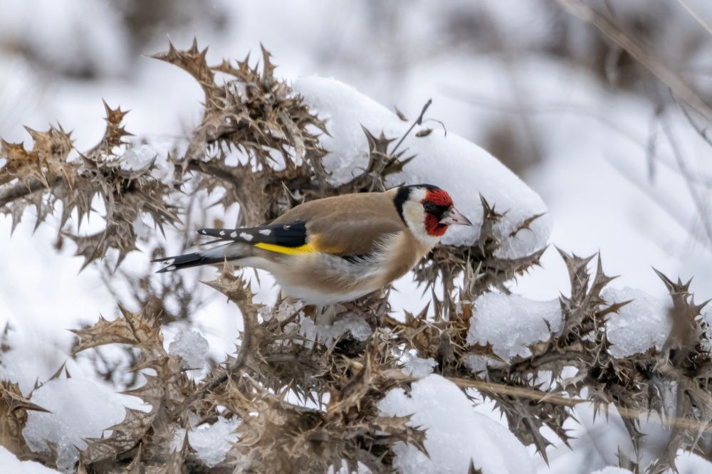 Photograph by Dimitris Vavliaras