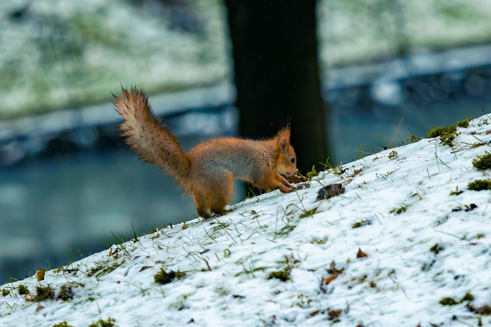Photograph by Siarhei Saladukhin