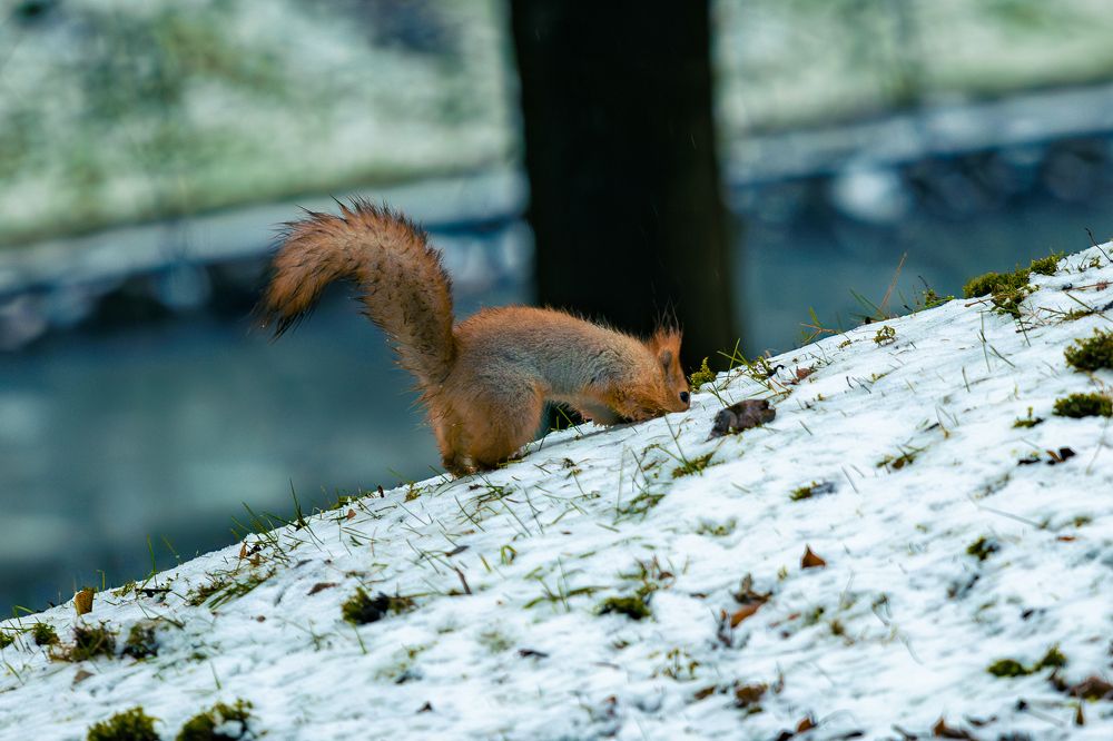 Photograph by Siarhei Saladukhin