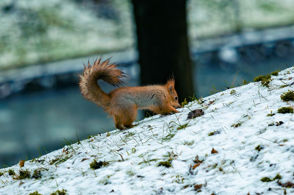 Photograph by Siarhei Saladukhin