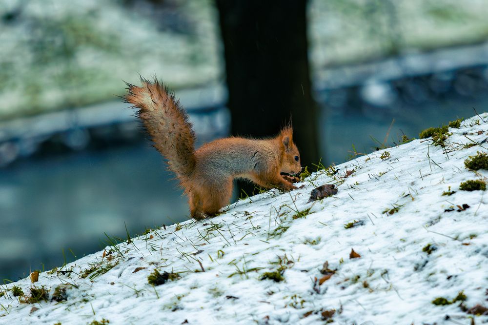 Photograph by Siarhei Saladukhin