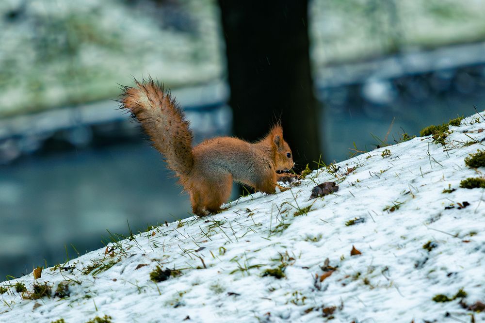 Photograph by Siarhei Saladukhin