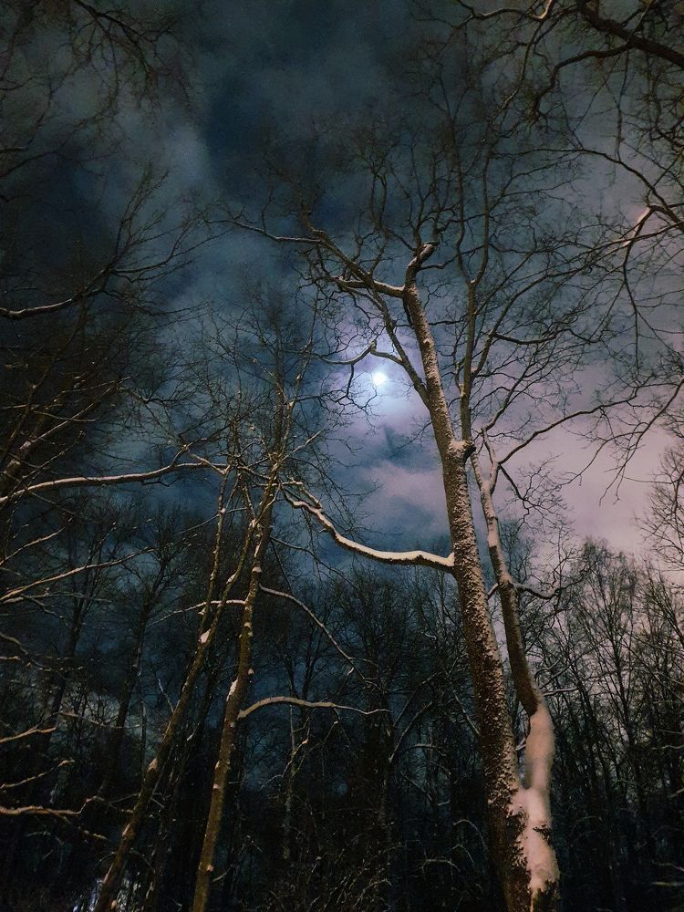 Photograph by Светлана Гордиенко