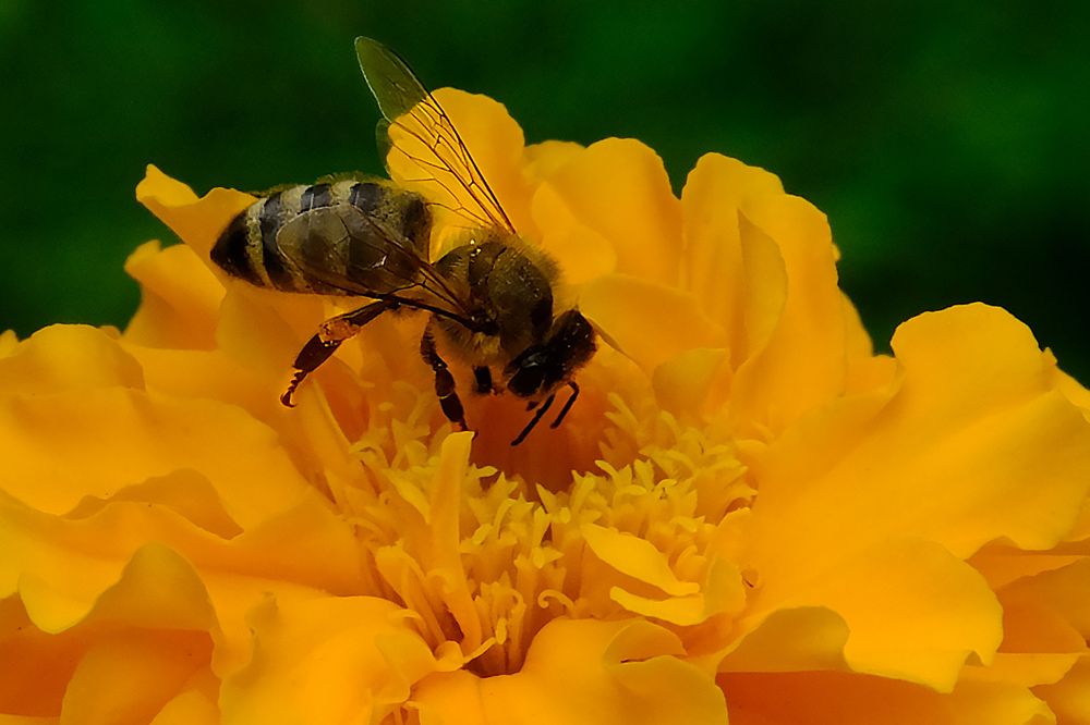 Photograph by Айдын Мехтиев