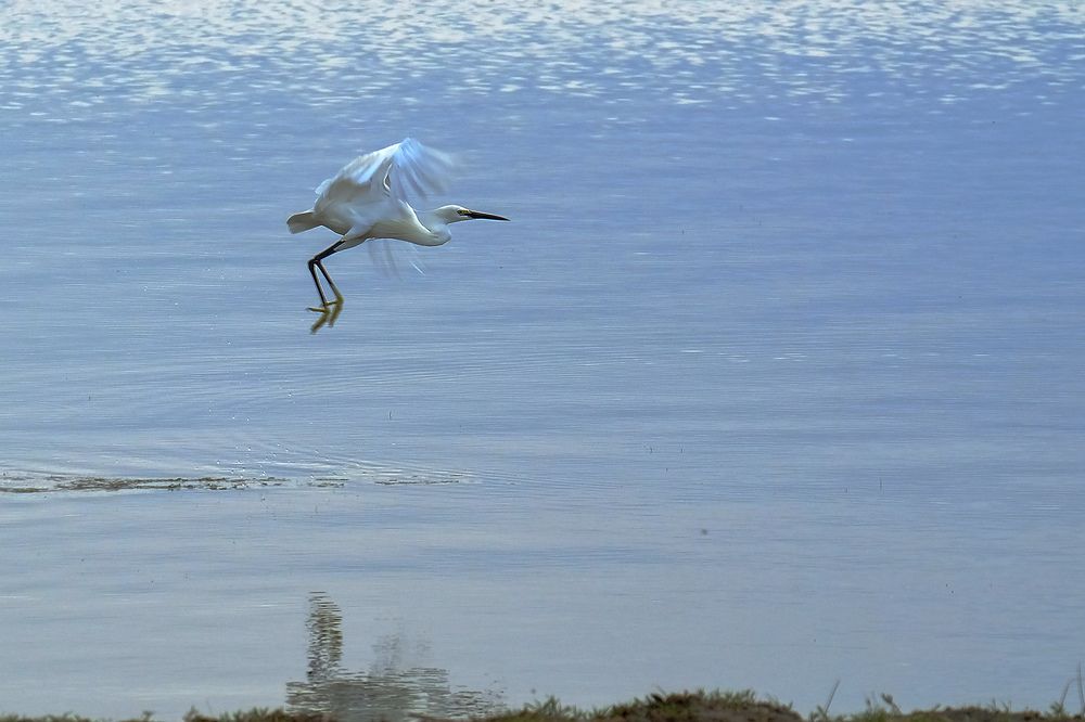 Photograph by Айдын Мехтиев