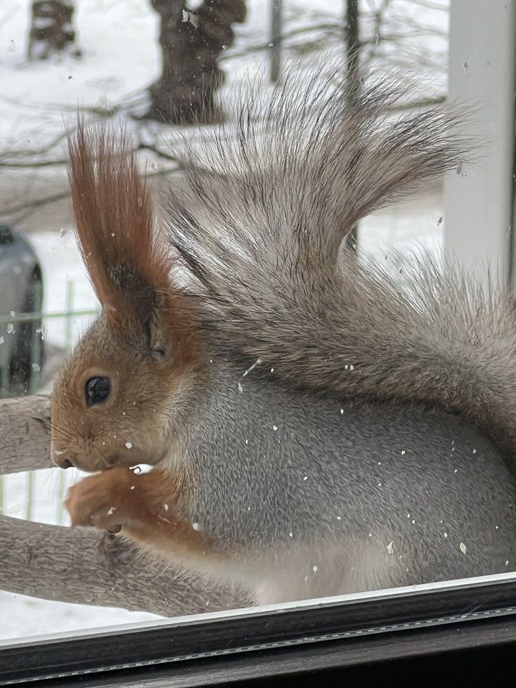 Photograph by Ирина Швейнова