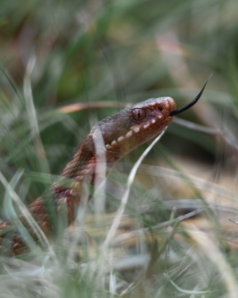 Photograph by Anton Gavrilov