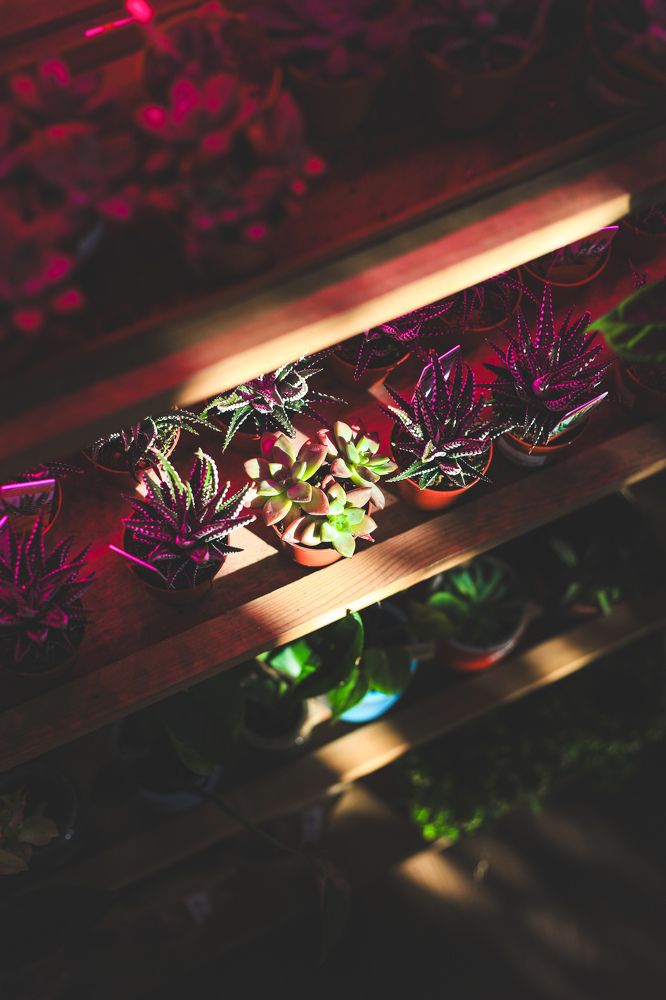 Photograph by Наталья