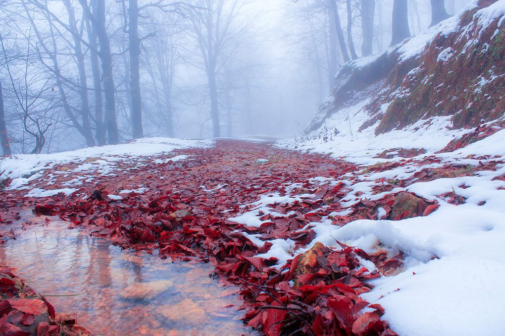 Photograph by hasan sorena jouri