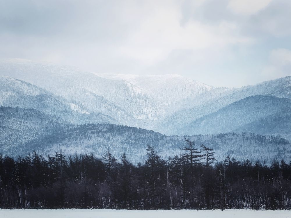 Фотография автора Елена