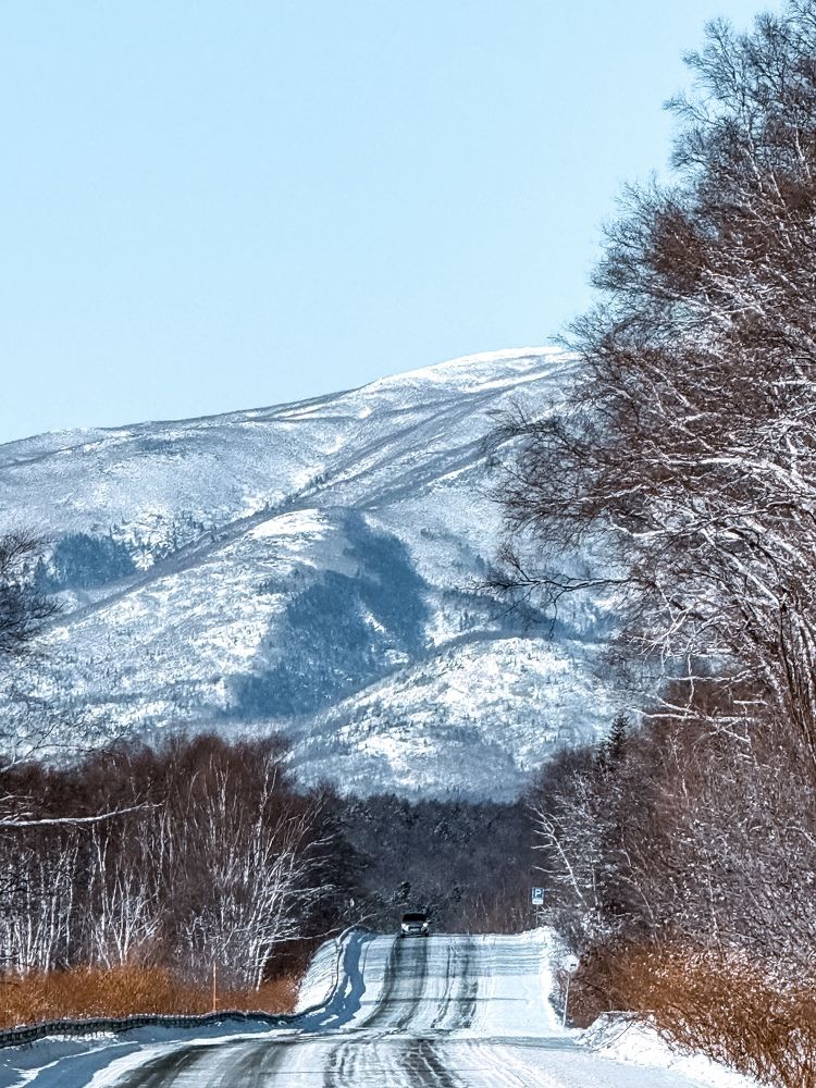 Фотография автора Елена