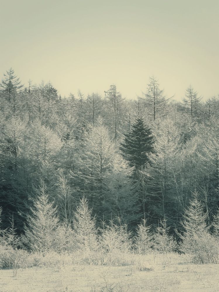 Фотография автора Елена