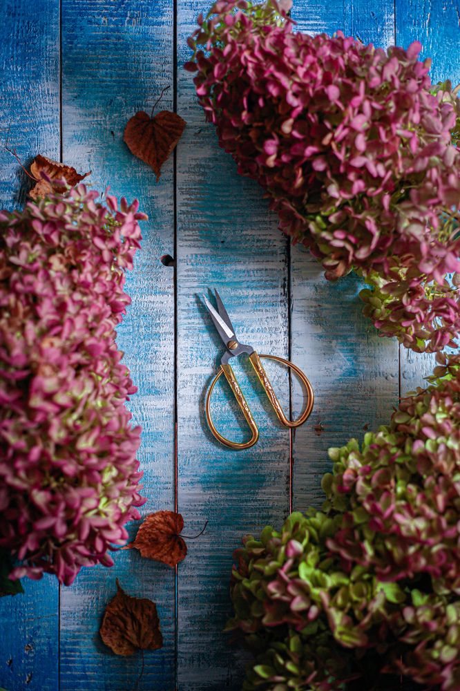 Photograph by Наталья