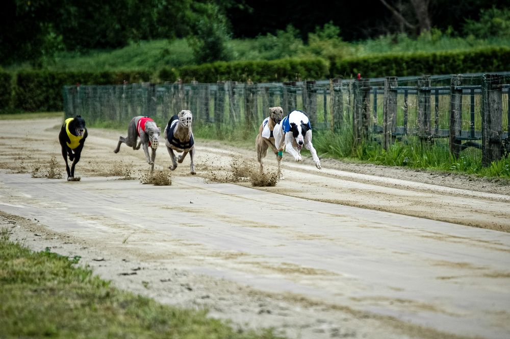Photograph by Диана Ульянцева