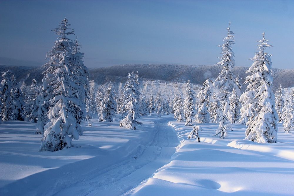 Photograph by Александр Велигура