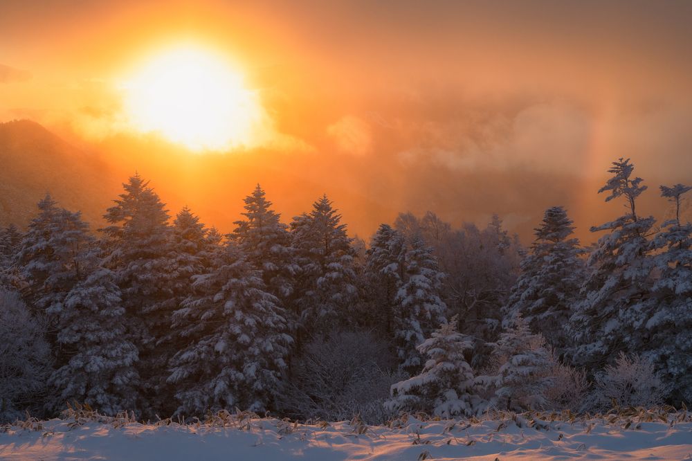 Photograph by Kaneko Atsushi