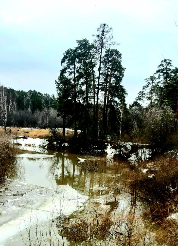Photograph by Караулова Лилия