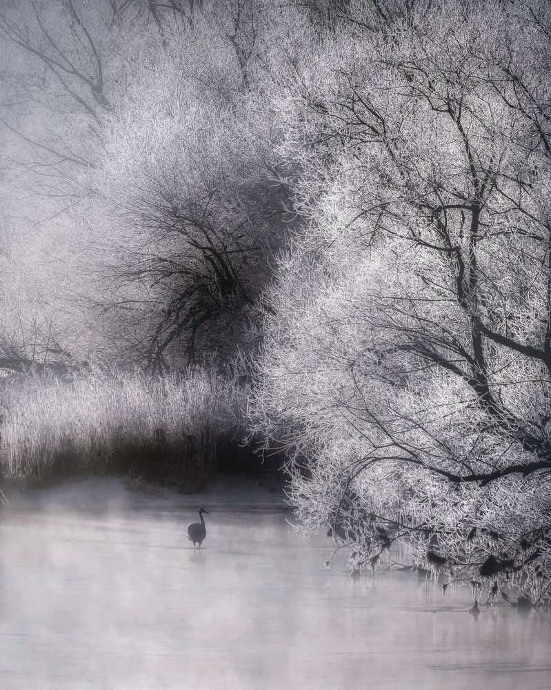 Photograph by Kaneko Atsushi