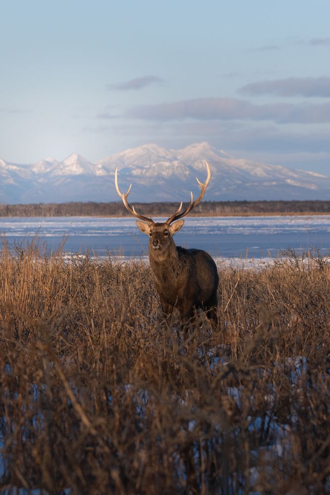 Photograph by Kaneko Atsushi