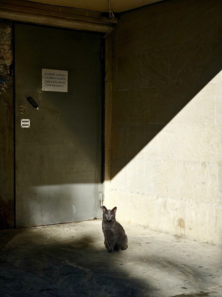 Фотография автора Gudrat Ibrahimov