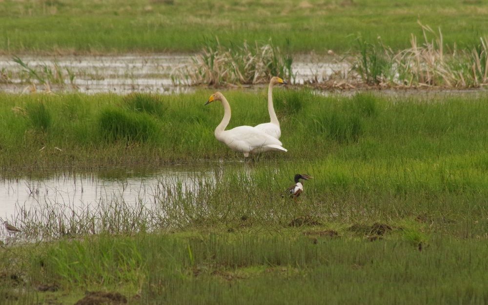 Photograph by Андрей