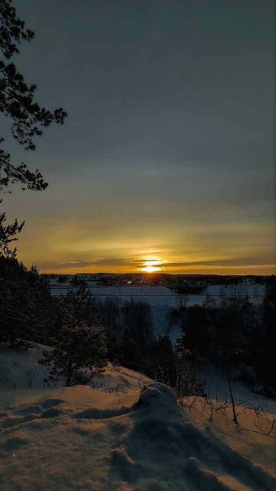 Photograph by Maria Stankevich