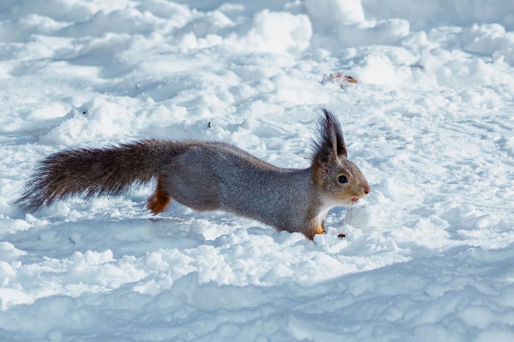 Photograph by Князев Сергей