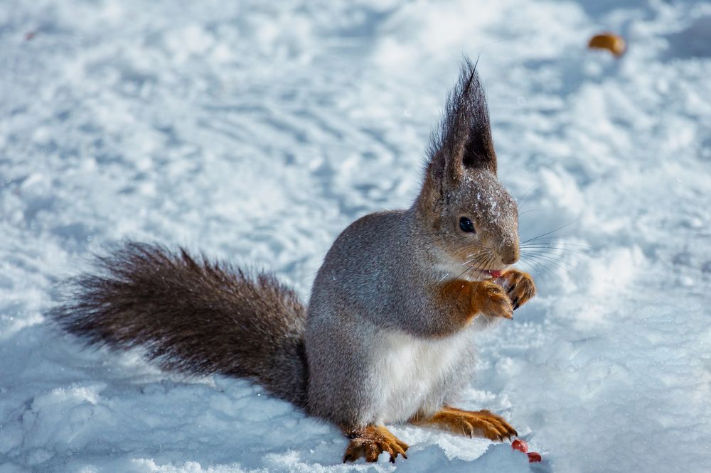 Photograph by Князев Сергей